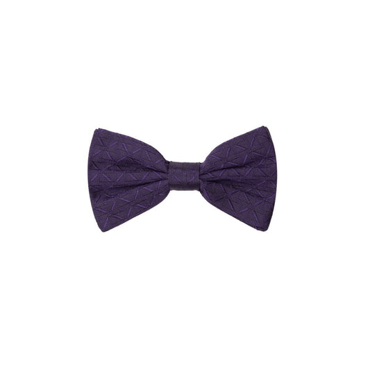 Purple Silk Ties & Bowty